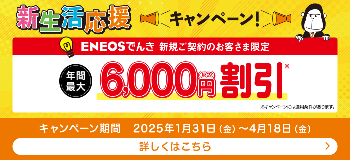 ＥＮＥＯＳでんき 新規ご契約のお客さま限定 年間最大6,000円(税込み)割引
