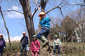 自然観察の模様