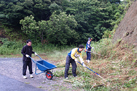 除草作業の模様