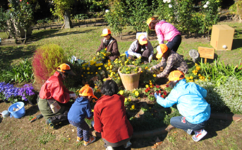 花壇の草花の植え替え作業の模様