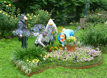 花壇の草花の植えつけの模様