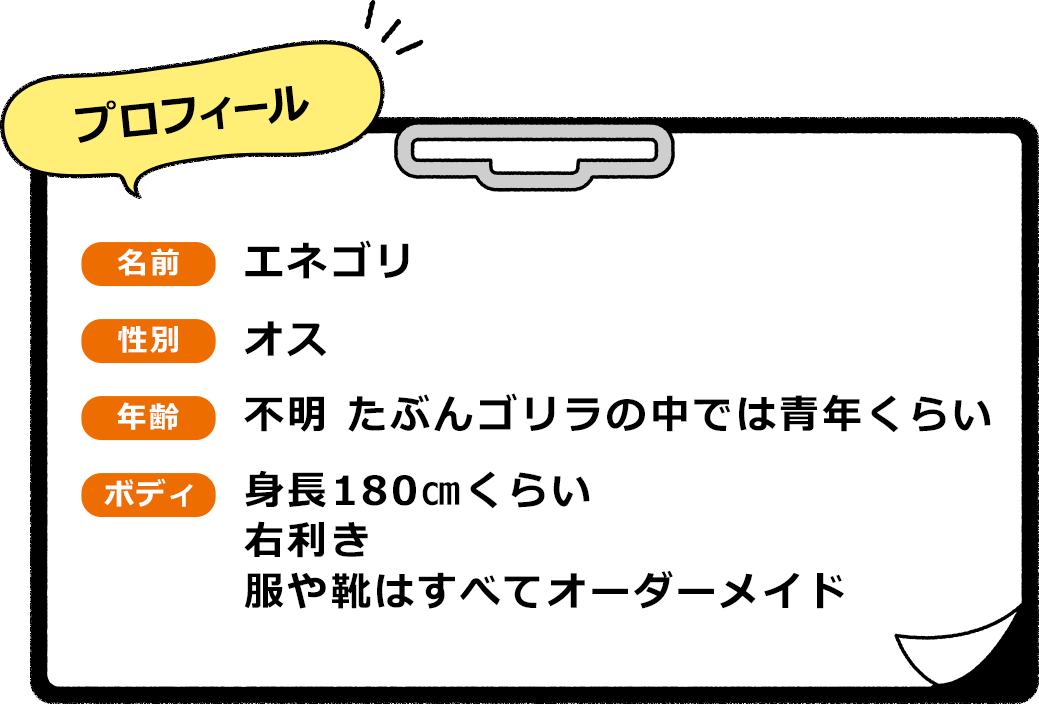 プロフィール　名前 エネゴリ　性別 オス　年齢 不明 たぶんゴリラの中では青年くらい　ボディ 身長180㎝くらい 右利き 服や靴はすべてオーダーメイド