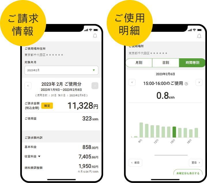 ご請求情報 ご使用明細