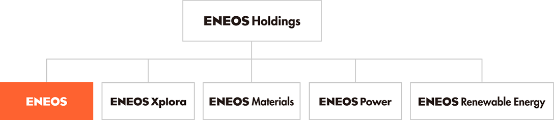 Relationship between ENEOS Holdings and its core operating companies