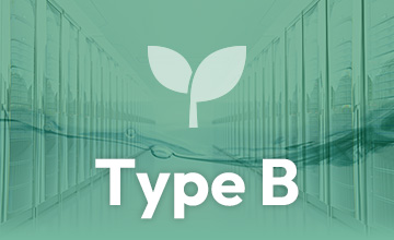 Type B