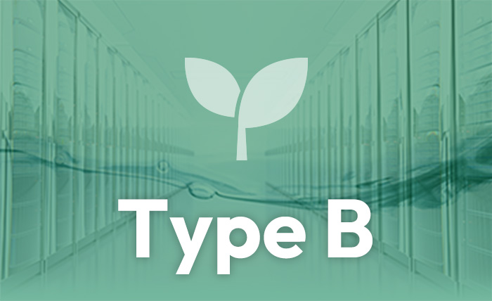Type B