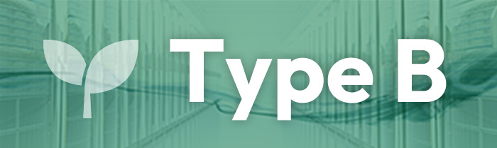 Type B